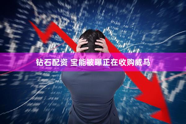 钻石配资 宝能被曝正在收购威马