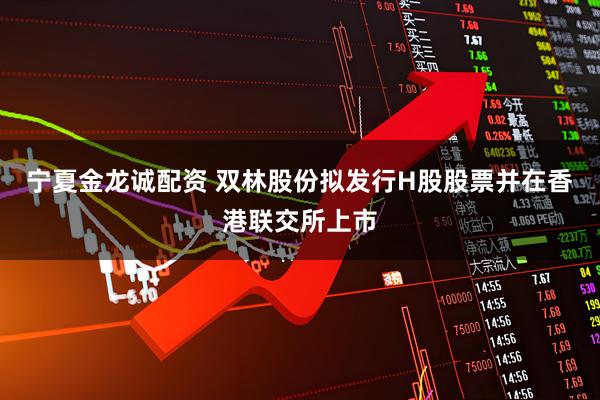宁夏金龙诚配资 双林股份拟发行H股股票并在香港联交所上市