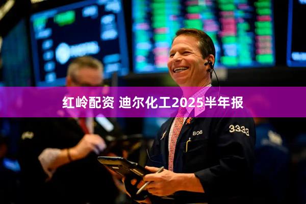 红岭配资 迪尔化工2025半年报
