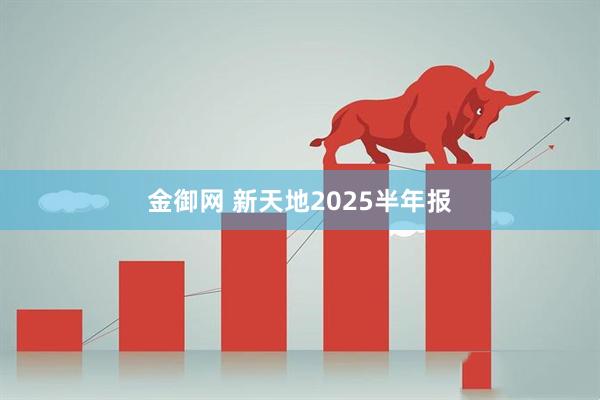 金御网 新天地2025半年报