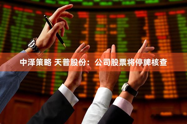 中泽策略 天普股份：公司股票将停牌核查