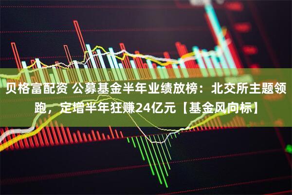 贝格富配资 公募基金半年业绩放榜：北交所主题领跑，定增半年狂赚24亿元【基金风向标】