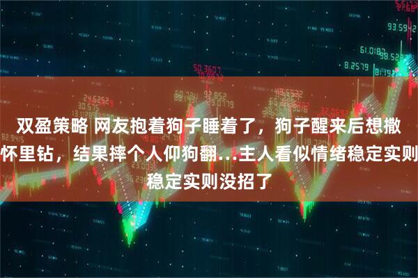 双盈策略 网友抱着狗子睡着了，狗子醒来后想撒娇往她怀里钻，结果摔个人仰狗翻…主人看似情绪稳定实则没招了