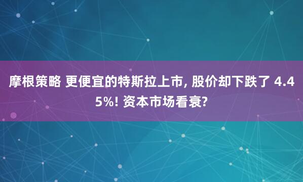 摩根策略 更便宜的特斯拉上市, 股价却下跌了 4.45%! 资本市场看衰?