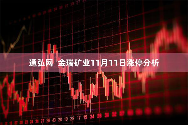 通弘网  金瑞矿业11月11日涨停分析